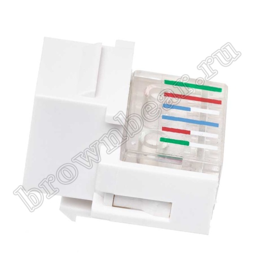 Модуль RJ-12  6P6C, Keystone, белый  фото 6